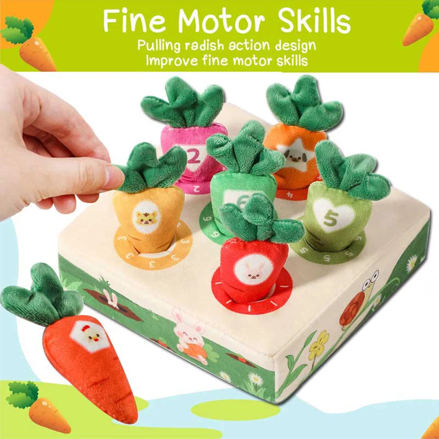 Montessori Carrot Pull