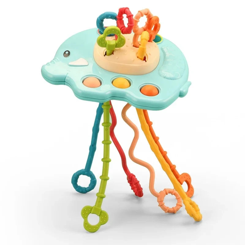 Baby Montessori Sensory Toy