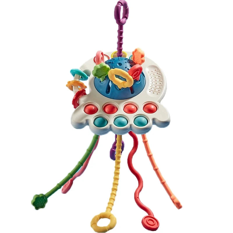 Baby Montessori Sensory Toy
