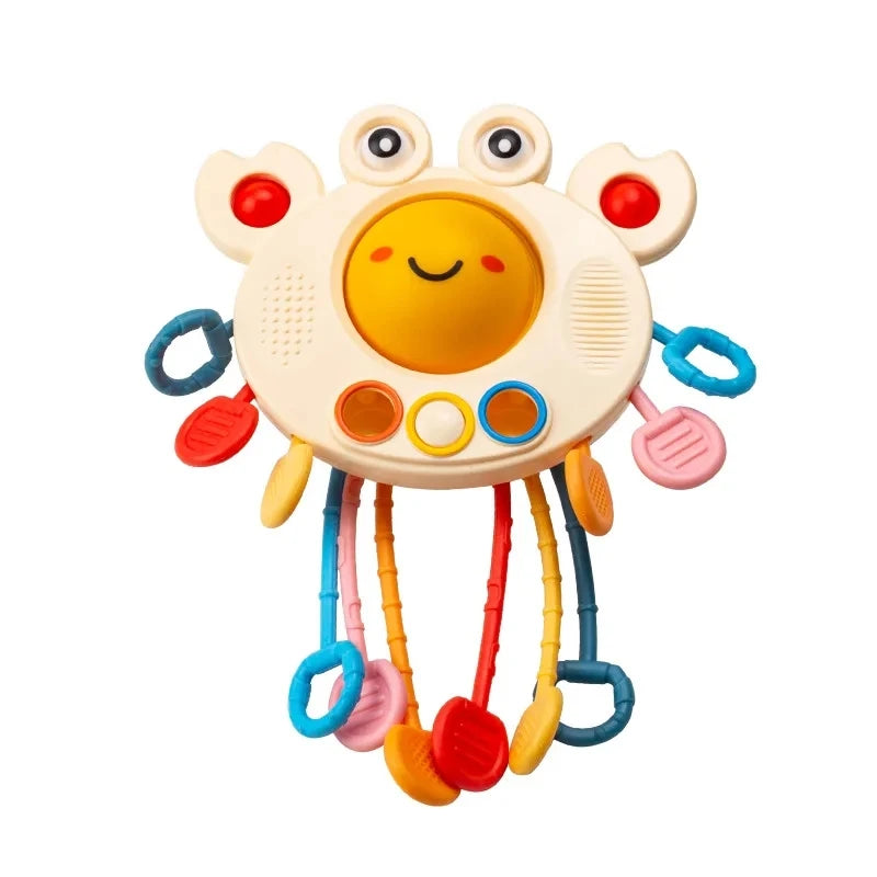 Baby Montessori Sensory Toy