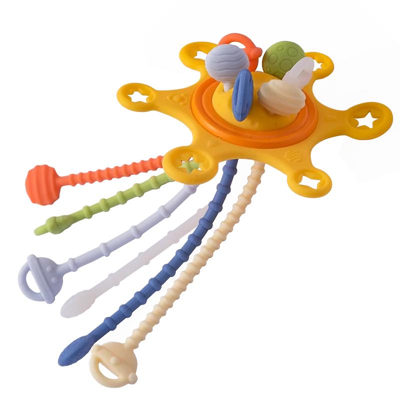 Baby Montessori Sensory Toy