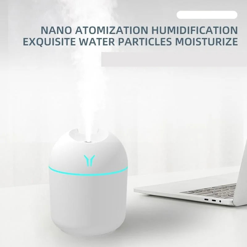 Mini Winter Humidifer