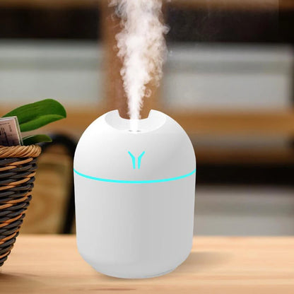 Mini Winter Humidifer