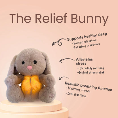 Anti Stress Sleep Aid Teddy
