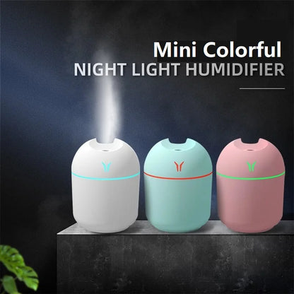 Mini Winter Humidifer