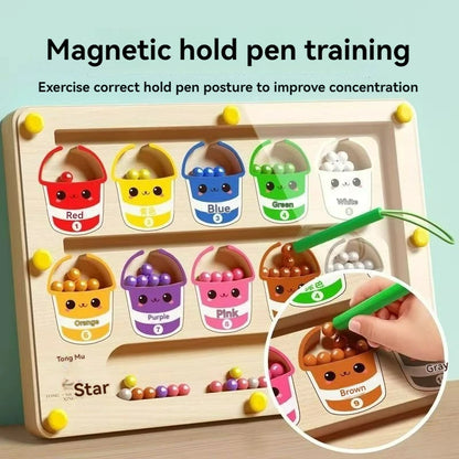 Magnetic Maze