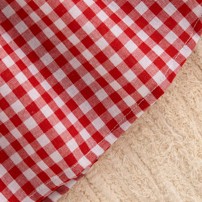 Strawberry Shortcake Gingham