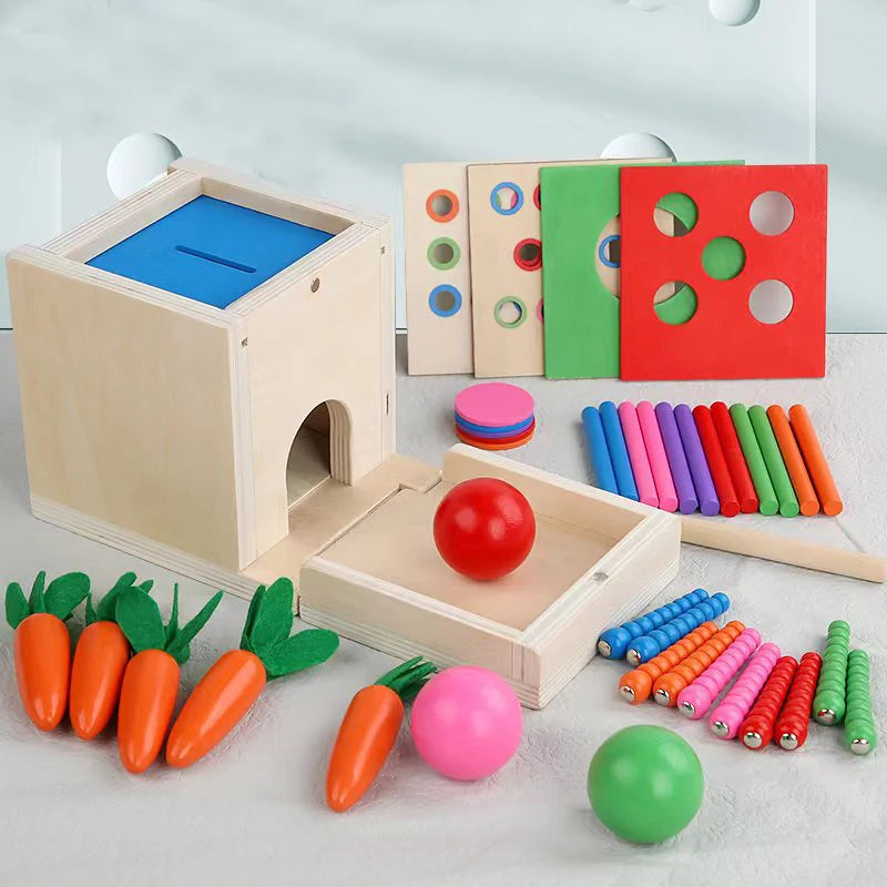 6-in-1 Wooden Montessori Toy Play Kit