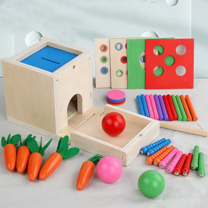 6-in-1 Wooden Montessori Toy Play Kit
