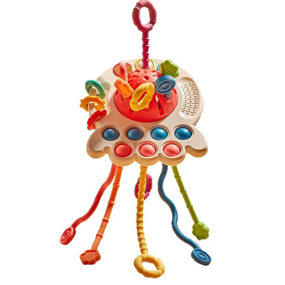 Baby Montessori Sensory Toy