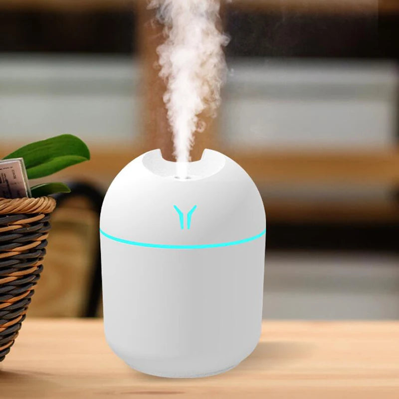 Mini Winter Humidifer