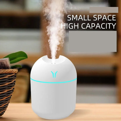 Mini Winter Humidifer