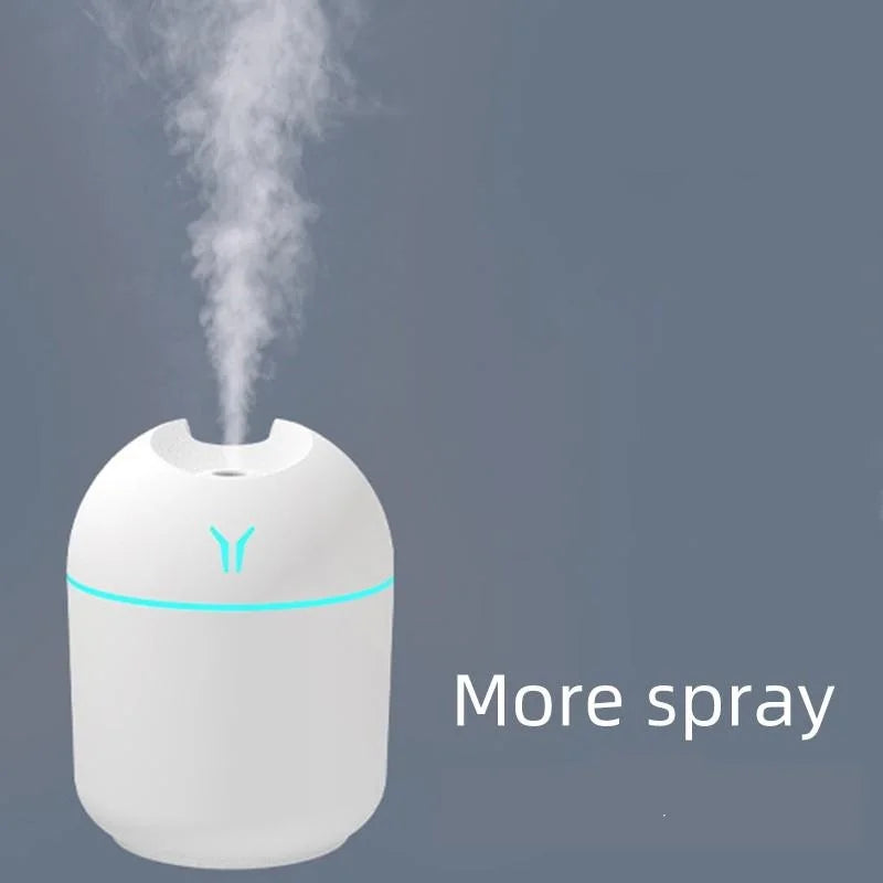 Mini Winter Humidifer