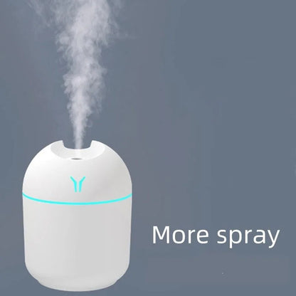 Mini Winter Humidifer