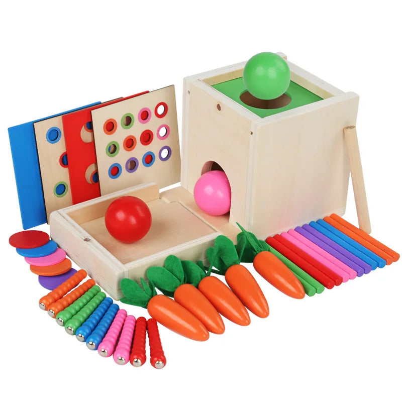 6-in-1 Wooden Montessori Toy Play Kit