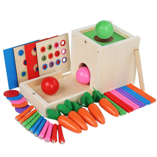 6-in-1 Wooden Montessori Toy Play Kit