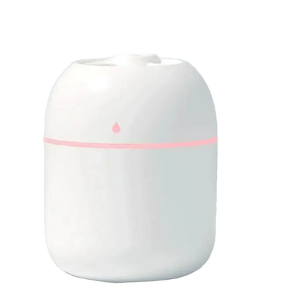 Mini Winter Humidifer