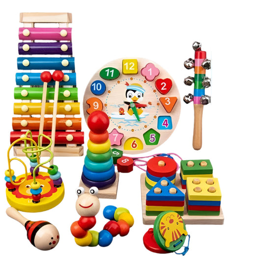 9 in 1 Wooden Montessori Toys