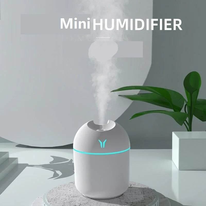 Mini Winter Humidifer